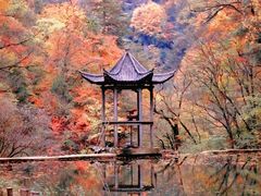 -汉·鲜味人知(陈家营店)