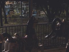 -南沙蒲洲花园