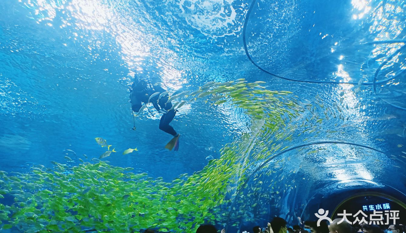 上海海昌海洋公园打卡