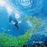 上海海昌海洋公园打卡