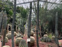 -呀路古热带植物园