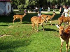 -赛汗塔拉风情园