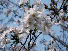 -徐家汇源景区-衡山公园