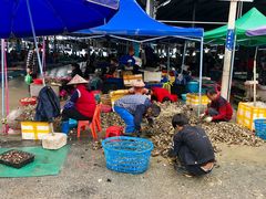 -霞涌市场海鲜摆卖区