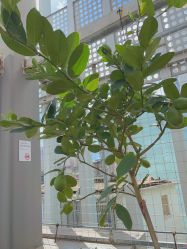 -宝媛会月子中心(越秀店)