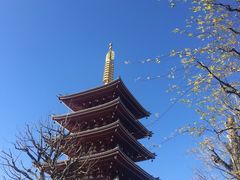 -浅草寺