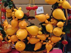 -越秀西湖花市(广州城市广场花卉店)