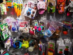 -熊小胖宠物生活馆(天华园店)