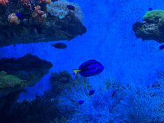 -海合安青岛极地海洋公园