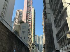 -罗富记粥面专家(摆花街店)