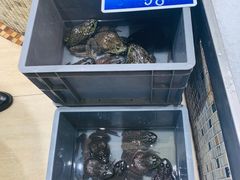 -双井轩(双井店)