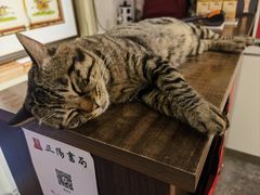 -正阳书局(西四南大街店)
