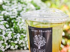 -LESCEDARS Brasserie Bistro香柏树