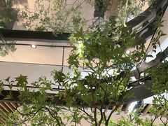 -大神太神·铁板烧(七宝领展广场店)