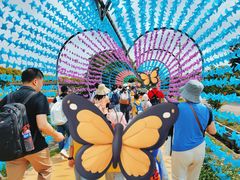 -广东花都香草世界旅游度假区
