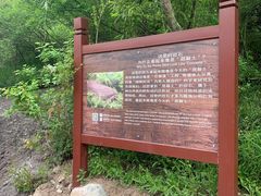 -美人谷景区