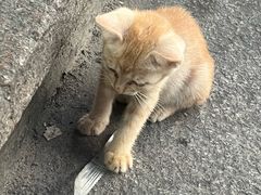 -汕头市博物馆