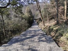 -南京老山国家森林公园
