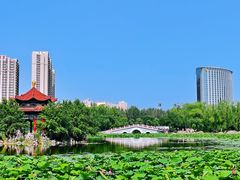 -青城公园