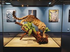 -国家自然博物馆