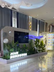 -深圳美莱医疗美容医院