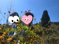 -北京西山国家森林公园