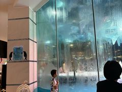 -帝企鹅自助餐厅•儿童岛•真企鹅(长隆企鹅酒店)