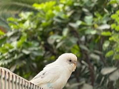 -南宫五洲植物乐园