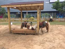 -萌宠亲子动物乐园(槐房万达店)