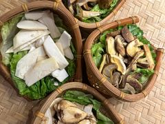 -滇野云南野生菌餐厅(陕西南路店)