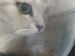 -太原东方动物医院(小店分院)