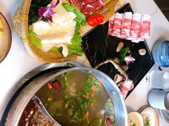 草本锅底-菌子鲜汤野生菌锅