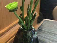 -THE WOODS 简餐 (国贸商城店)