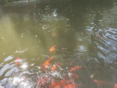 -浙江省博物馆(孤山馆区)