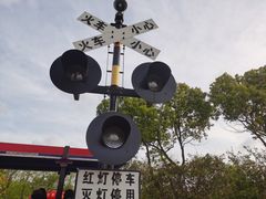 -自然谷恐龙园