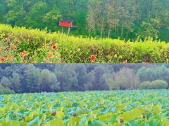 -长春净月潭风景名胜区