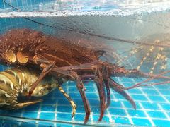 -新阿布海鲜大酒店