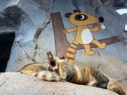 -Zoolung Zoolung动物主题公园(海信广场店)