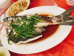 -银峰农庄·特色烧鸡·鲜无花果浸鸡