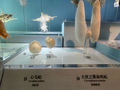 -温州博物馆