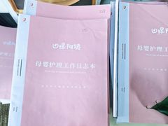 -田螺阿姨自营月嫂·育儿嫂(高新店)