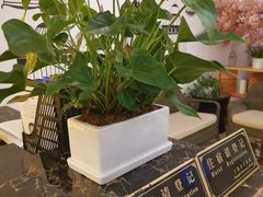-汤里来温泉