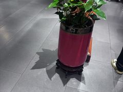 -王元兴酒楼(杭帮菜名店)