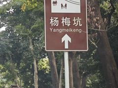 -杨梅坑