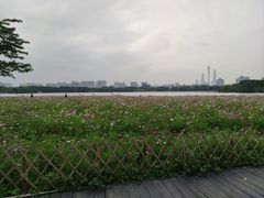 -海珠湖公园
