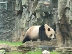 -武汉动物园