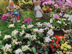 -北京植物园-展览温室