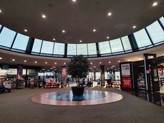 -纽瓦克自由国际机场