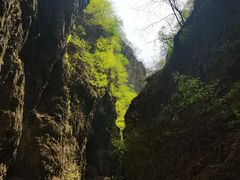 -野三坡百里峡景区
