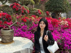 -沂蒙云瀑洞天景区